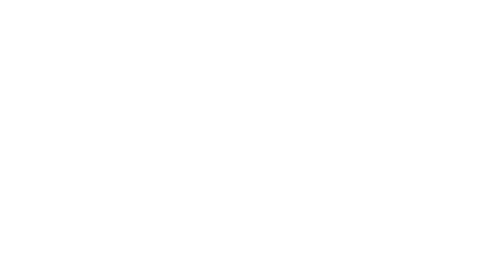 DCG - Declaration Consulting Group